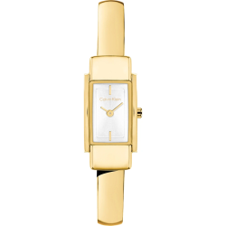 Calvin Klein CK25100184 Moderne női karóra